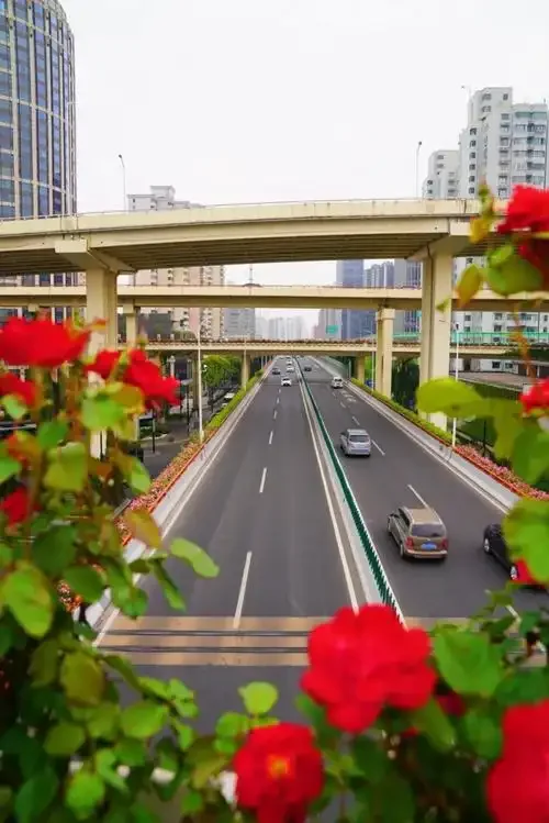 

SY1201 1202 RC Car Shell Body 1/12 RC Rally Car Upgrade Parts Spare Accessories