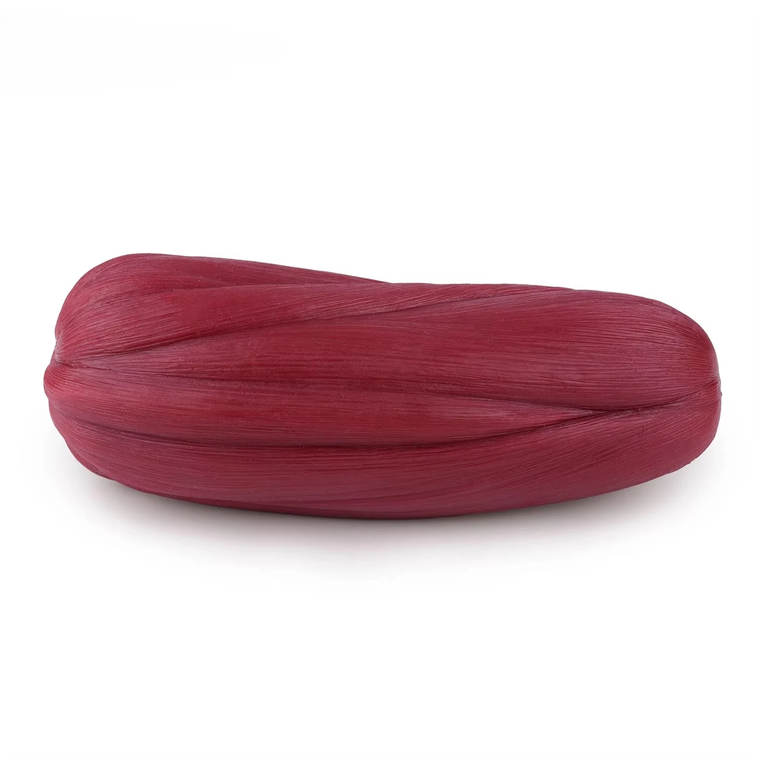 

5 pound muscle model