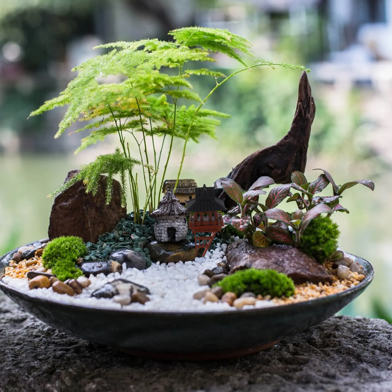 Ornamento Tradizionale Cinese  - Bonsai Garden Landscape Design recensione e prezzo