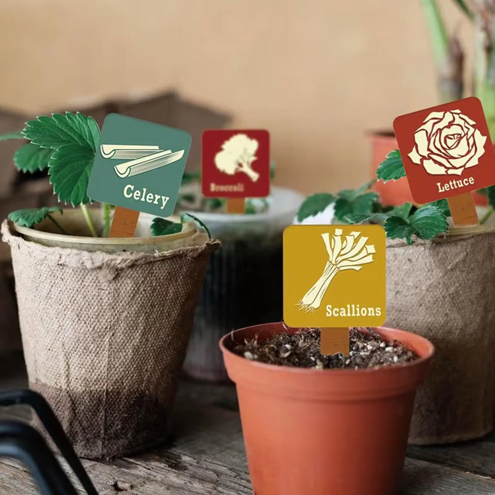 Plant Label Stakes 15Pcs Vegetable Name Tag with Pattern Wood Plant Garden Sign Seed Indoor and Outdoor Potted Plants Stakes
