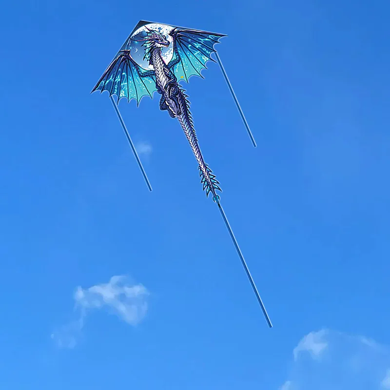 Frete grátis pterosaur kite dragão voando profissional kite peonzas con cuerda linha de pipa kite drachen jogos ao ar livre hoka