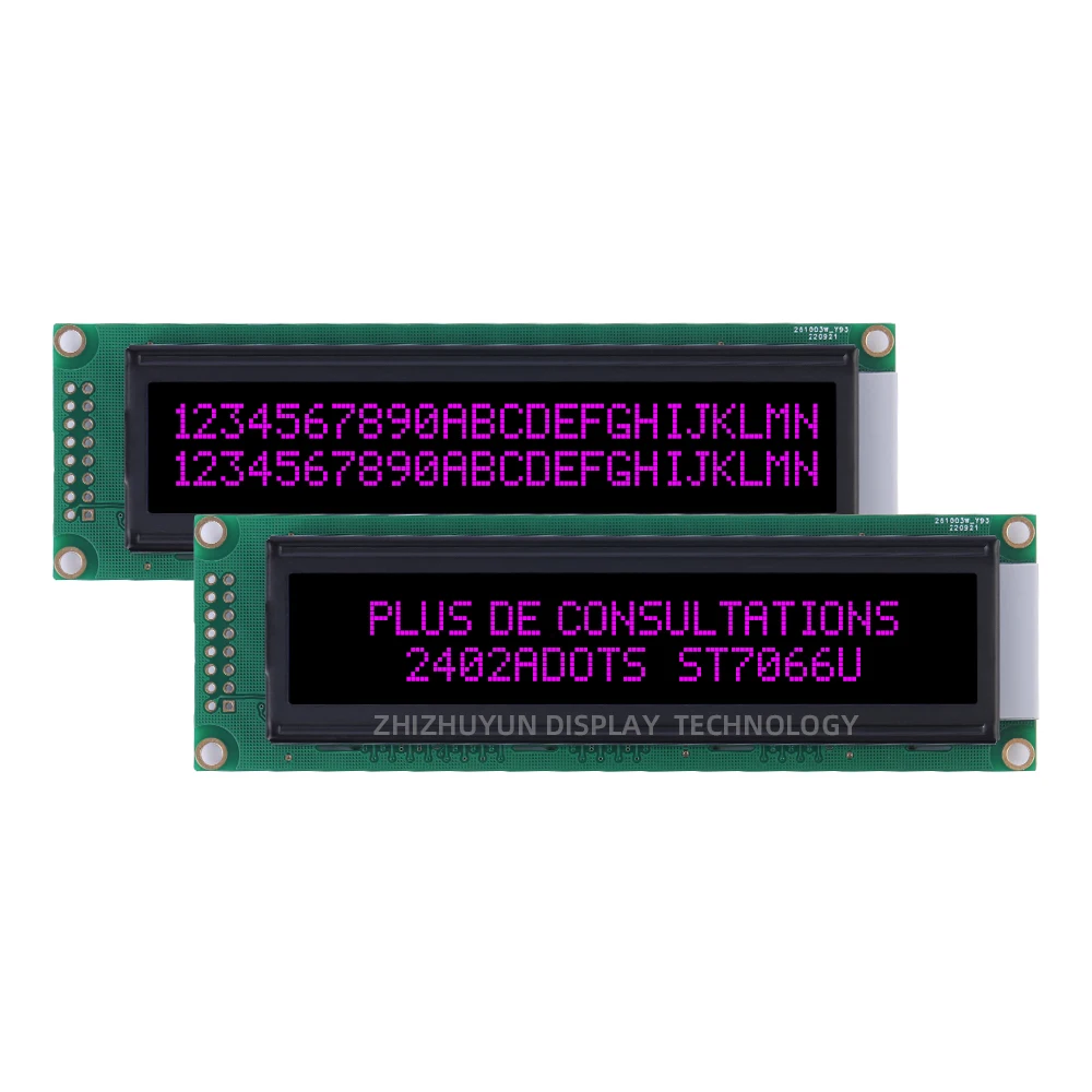 2402A schermo a matrice di punti a caratteri europei 2402 modulo schermo LCD COB schermo a caratteri monocromatici BTN pellicola nera testo verde