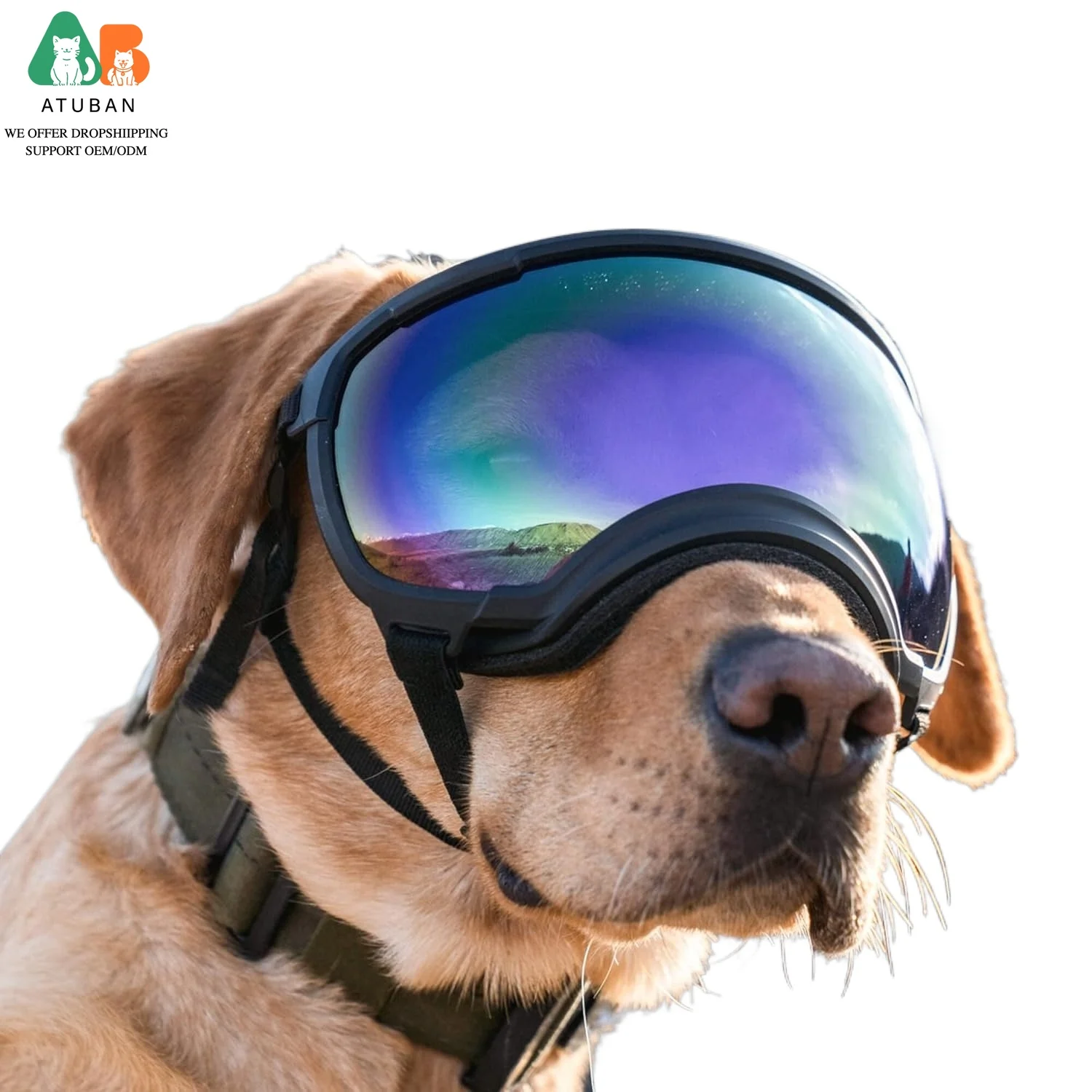 

Dog Goggles Dog Sunglasses Glasses for Dogs Dog Ski Goggles with UV Protection Pet Sunglasses with Adjustable Strap for Travel