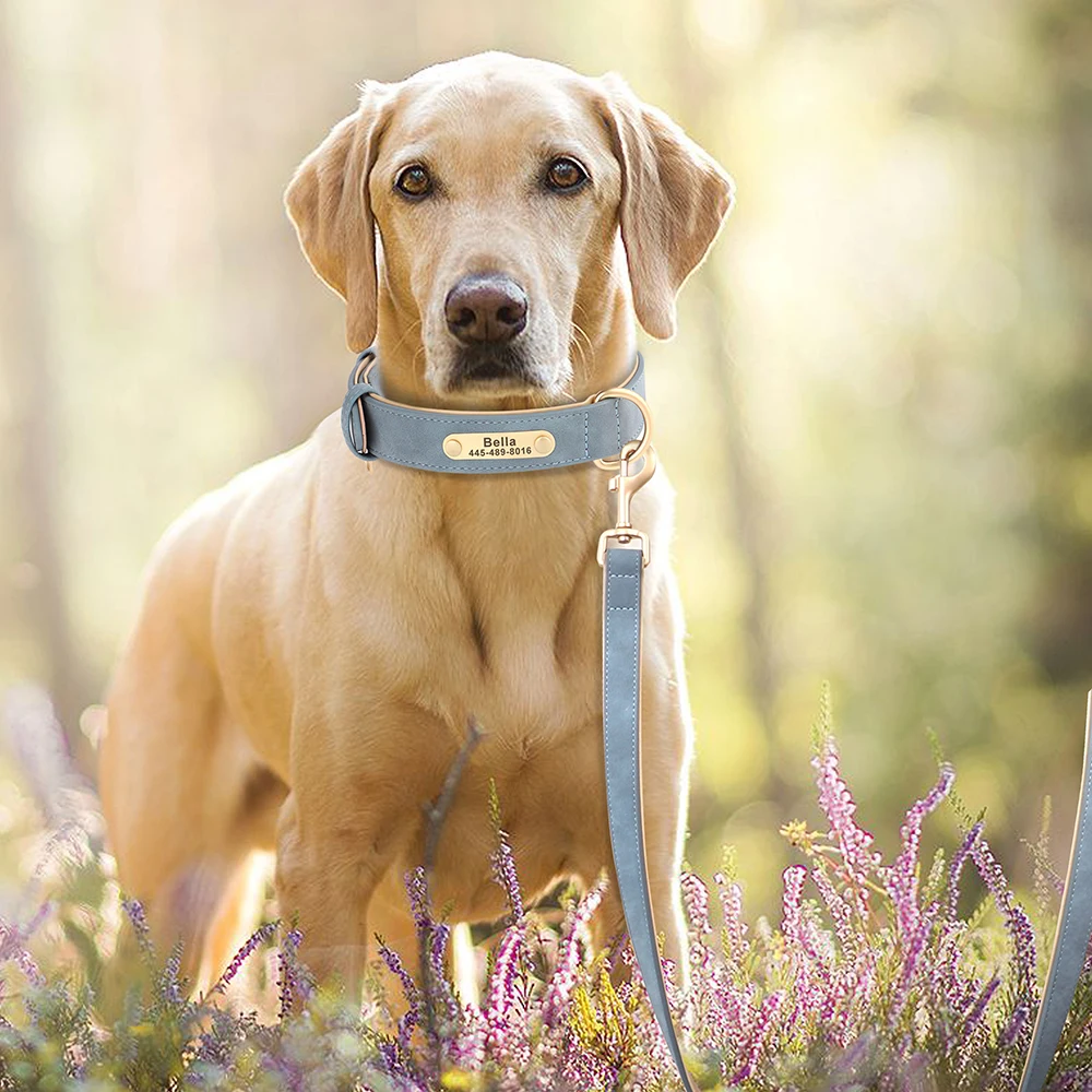 Set di guinzagli per collare per cani in pelle PU personalizzati collari per cani personalizzati targhetta incisa gratuita per cani di taglia