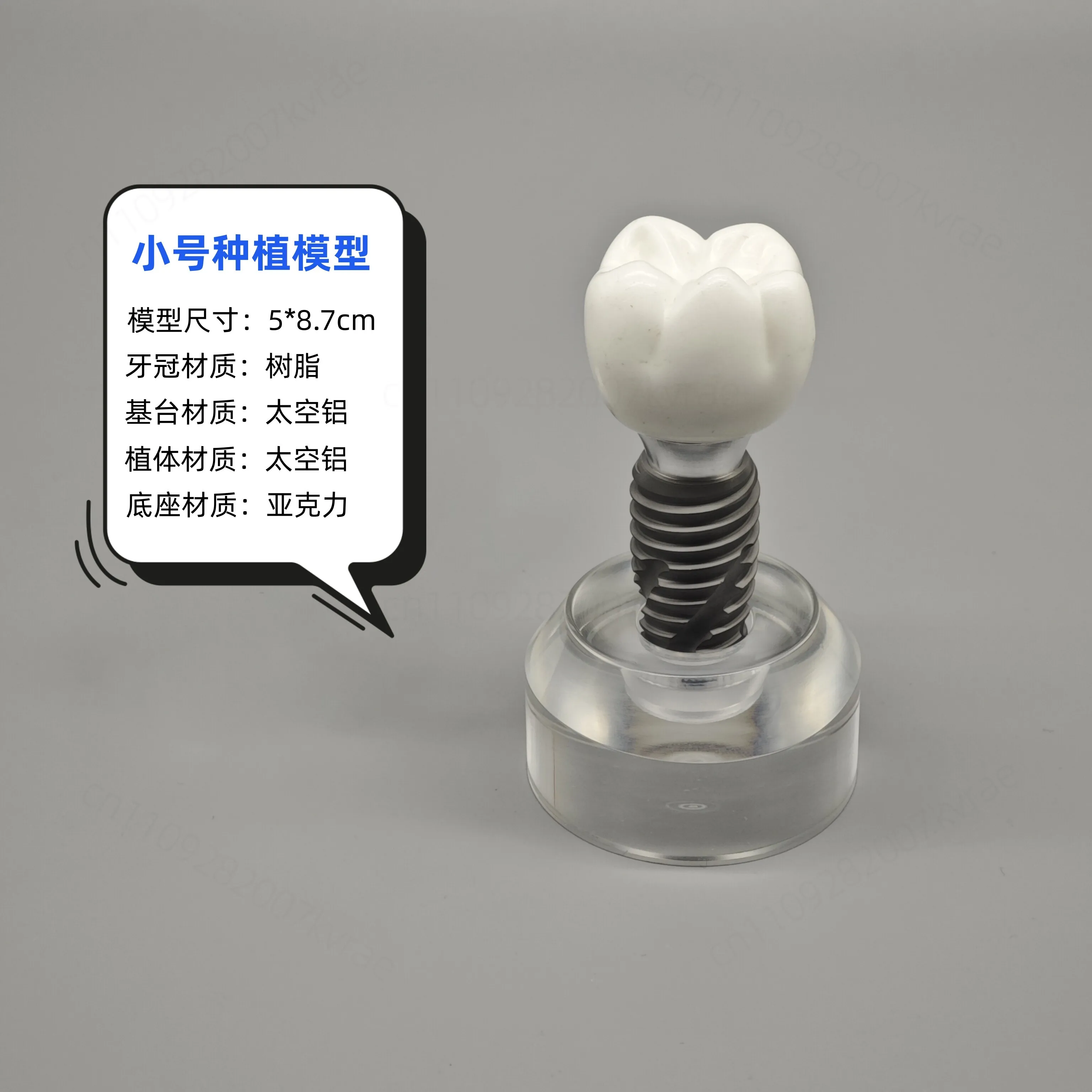 Oral teaching model, implant model, teaching aids, crystal implant model, screw removable model