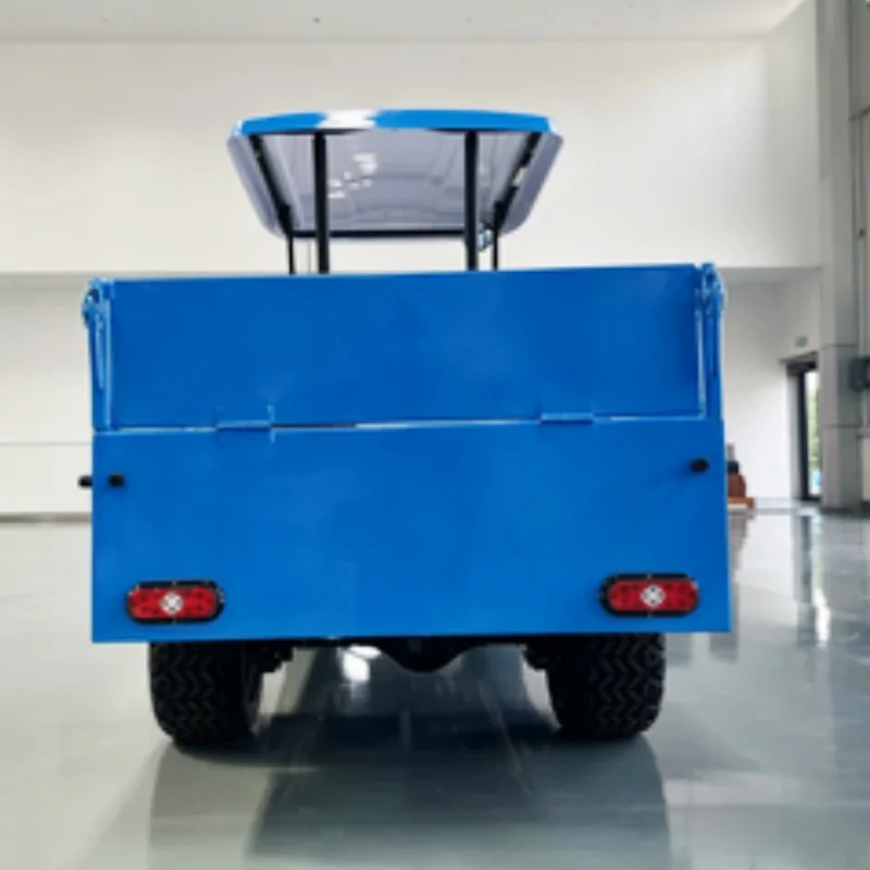 60V Electric Golf Cart 5KW Motor 25 MPH Top Speed 44 Miles Range,Free Shipping Rear Cargo Box 12-Inch Off-Road Tires