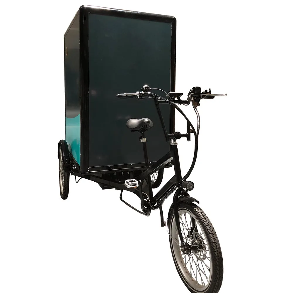 adult tricycle 360Wh green power cargo ebike 3 wheel electric trike