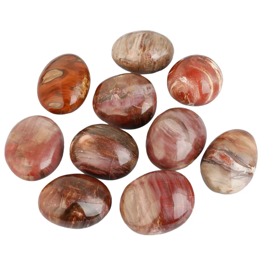 

TUMBEELLUWA Natural Petrified Wood Palm Stone Crystal Healing Gem stone Pebble Worry Therapy Irregular Shape Decoration