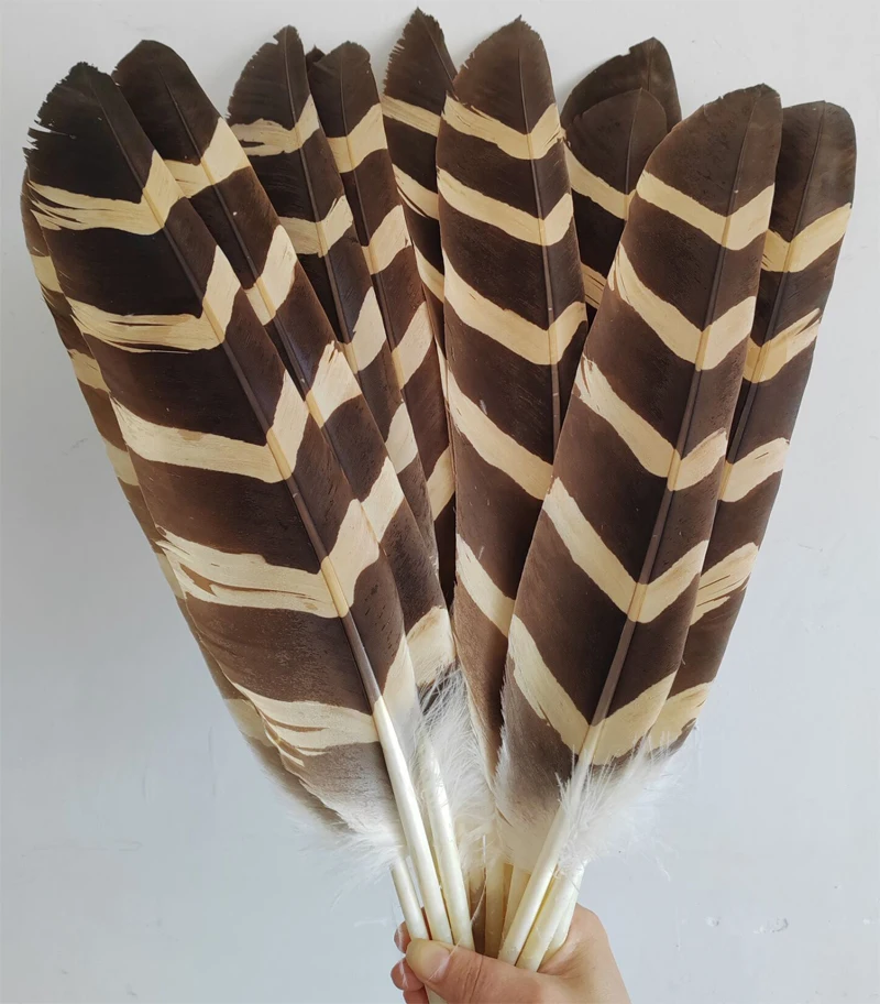 

10Pcs/lot 40-60cm Natural Beauty Zebra Pattern Eagle Feathers Rare Large Bird Hawk Feathers celebration decoration dress