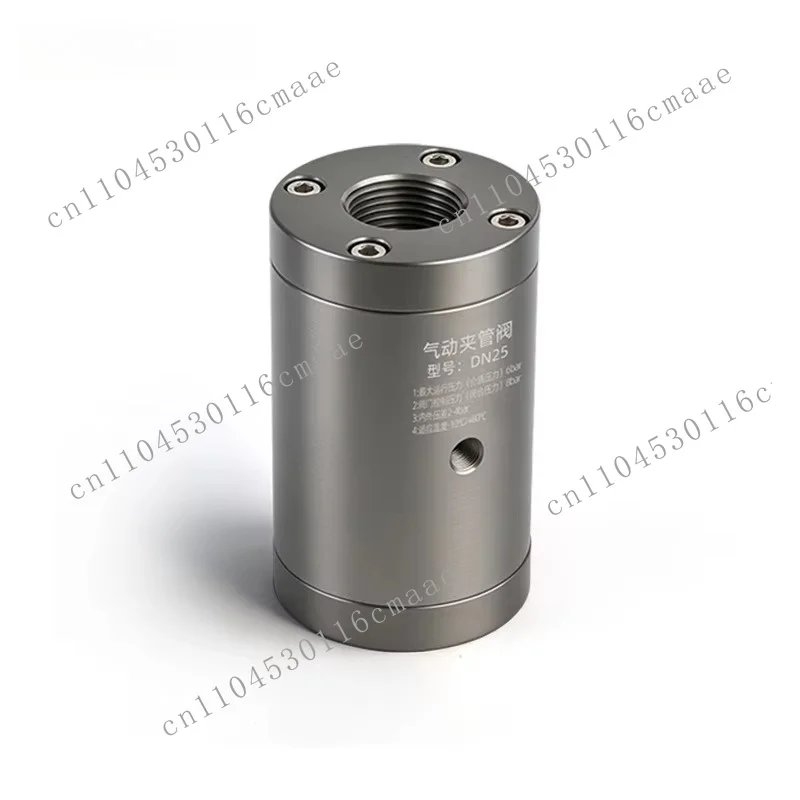 Industrial Pneumatic Pinch Valve DN25 Thread End Bubble Tight Shut-off Valve for Corrosive Slurry Granule Liquid Media