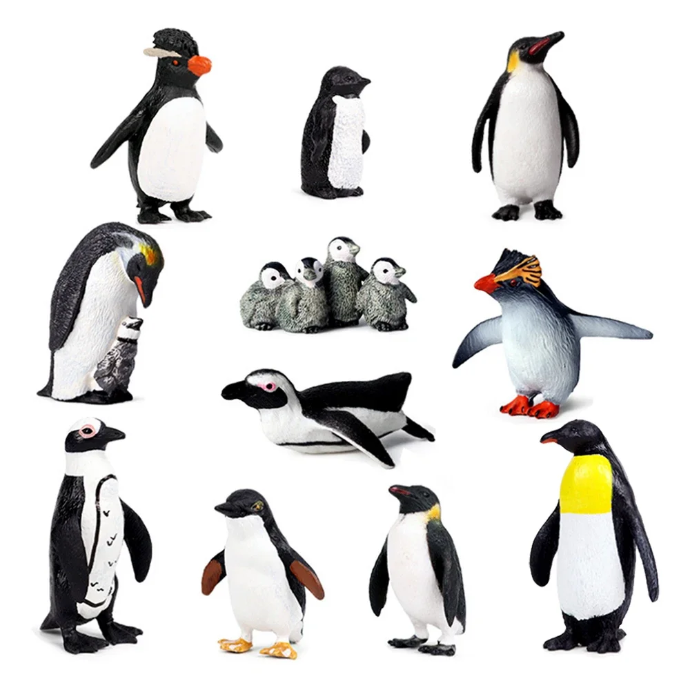 Marine Animals Toy Penguin Figurine Anime Figures Ocean Antarctica Sea life Action Figure Children Toys Table Games Kids Gifts