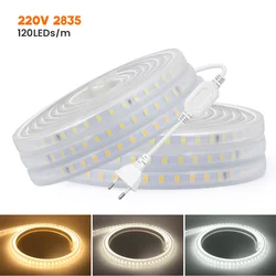 2835 LED 스트립 조명, 스위치 전원 플러그 키트 포함, 120LED/m 방수, 유연한 LED 리본 홈 장식, 차갑거나 따뜻한 흰색, 220V