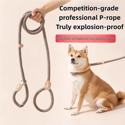 Braided Slip Rope Dog Leash