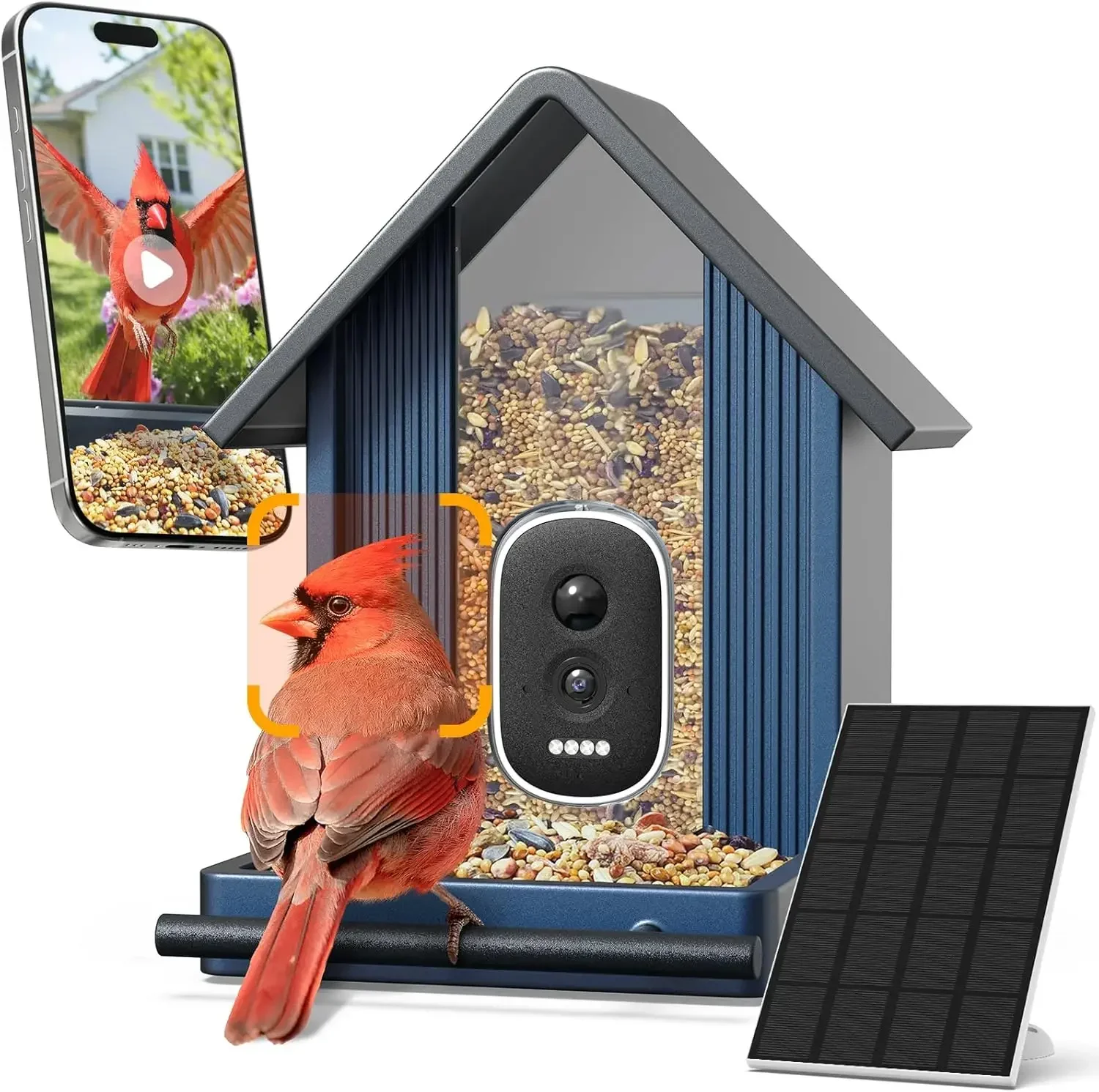 Solar Powered Outdoor Metal Bird Feeder with Camera 2.5K UHD AI Identification Real Time Videos Pictures Premium Present