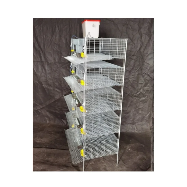 

Optimize Quail Farming with Advanced H Type Cage Design for Automation Quail Cage Quail Cages for Egg Production