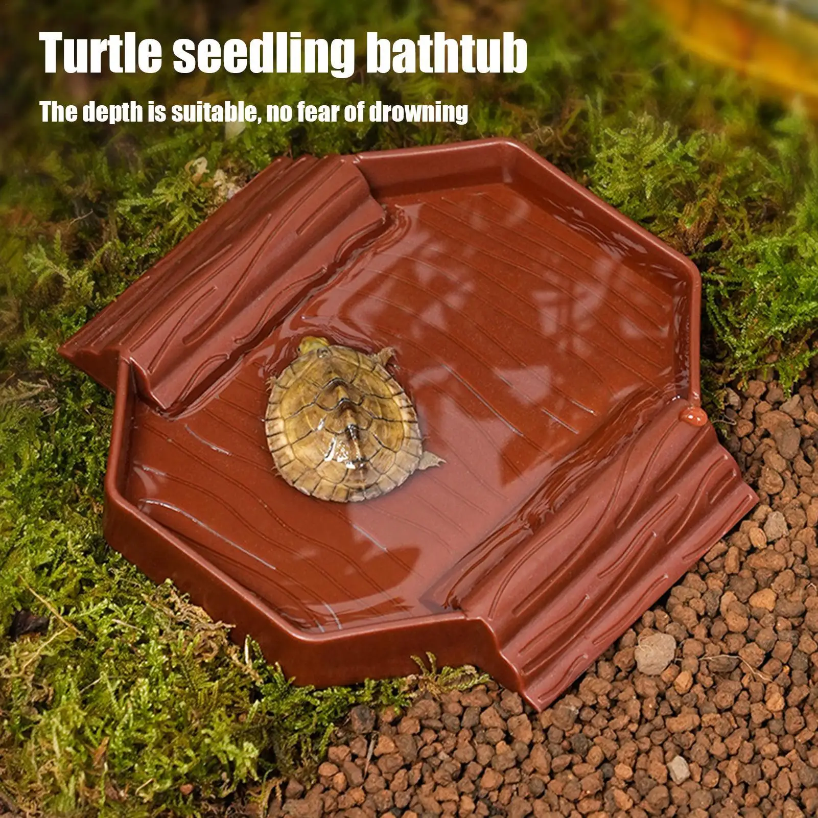 Thumbnail 3 - #46 Trending Reptile Water Bowls Right Now