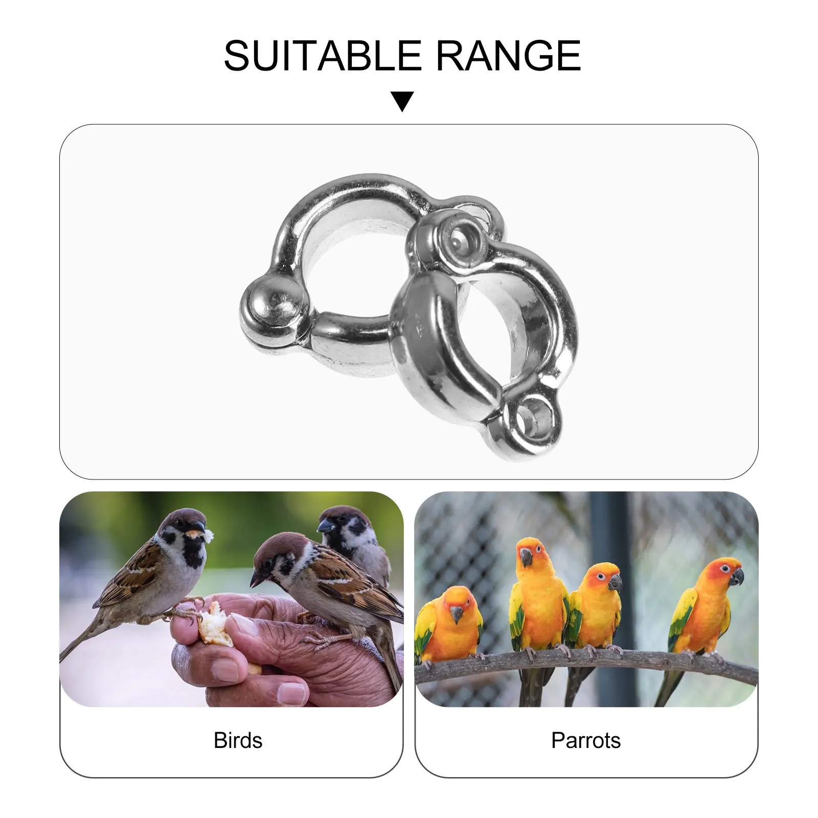 

6Pcs Parrot Foot Rings Stainless Steel Bird Anklets U-Shaped Design Durable Rust Resistant Foot Chains Pet Bird Supplies Gifts