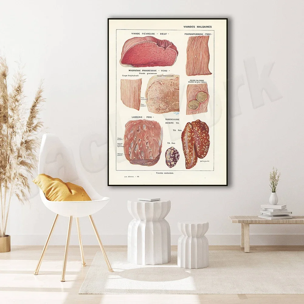 1952 Rotten Meat Poster, Retro Beef, Pig, Cow, Sheep, Mutton Home Cuts, Retro Restaurant Butcher Menu Kitchen Decor