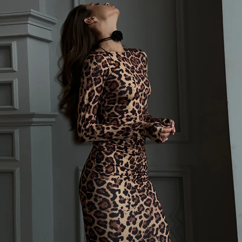 

2025 Women Dress Elegant Fashion Beautiful Women's Dress Round-Neck Long Sleeve Sexy Leopard Print High Waist Temperament Dress