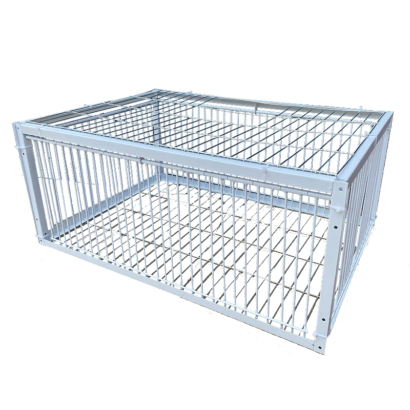 

Foldable Galvanized Pigeon Bird Trap Cage Wild Pigeon Humanitarian Way with One-Way Entrance Pigeon in Cage