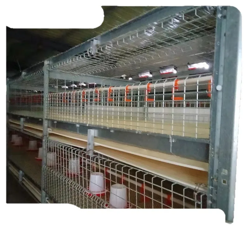 

Large-scale breeding equipment Broiler breeding chicken cage Frame chicken coop breeding farm Galvanized vertical machinery
