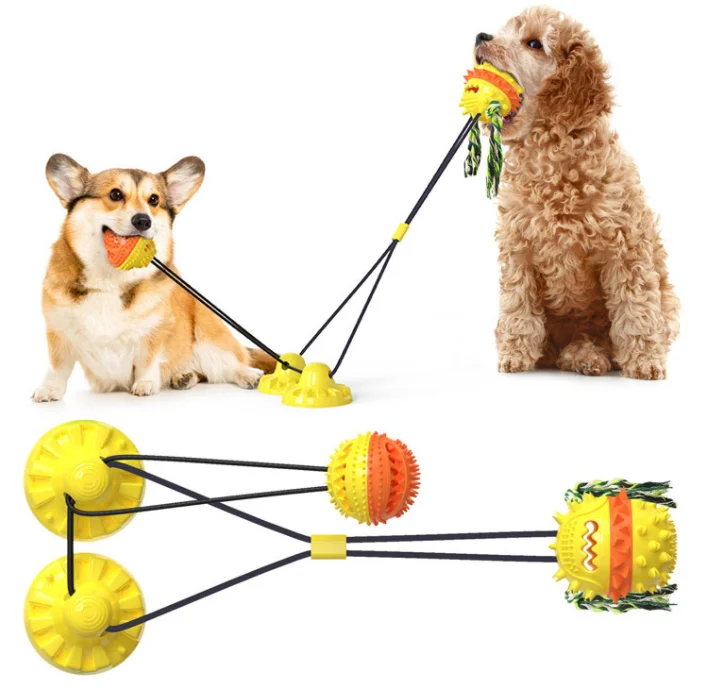 Jouets à mâcher actifs pour chiens, jouets interactifs à mâcher pour chiens, dents dures, grincement, mordre, jouets grinçants, livres de dents