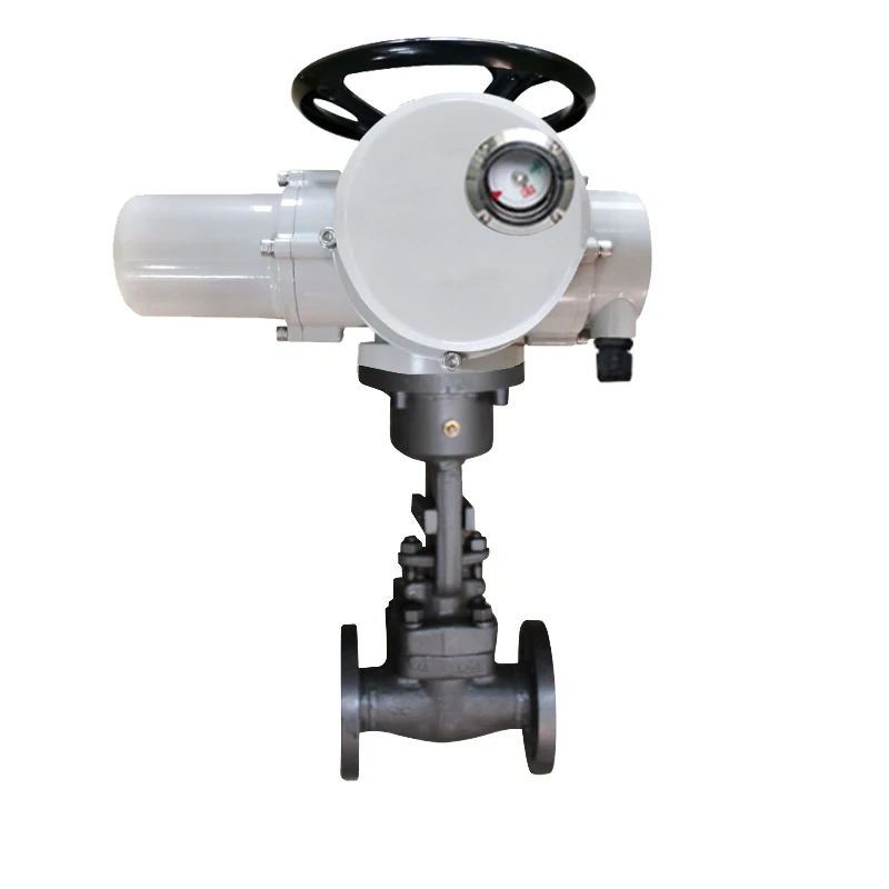 

Double Flanged DN125 Multi-Turn Intelligent Electric Actuator Forged Steel Motorized Electric Steam Globe Valve