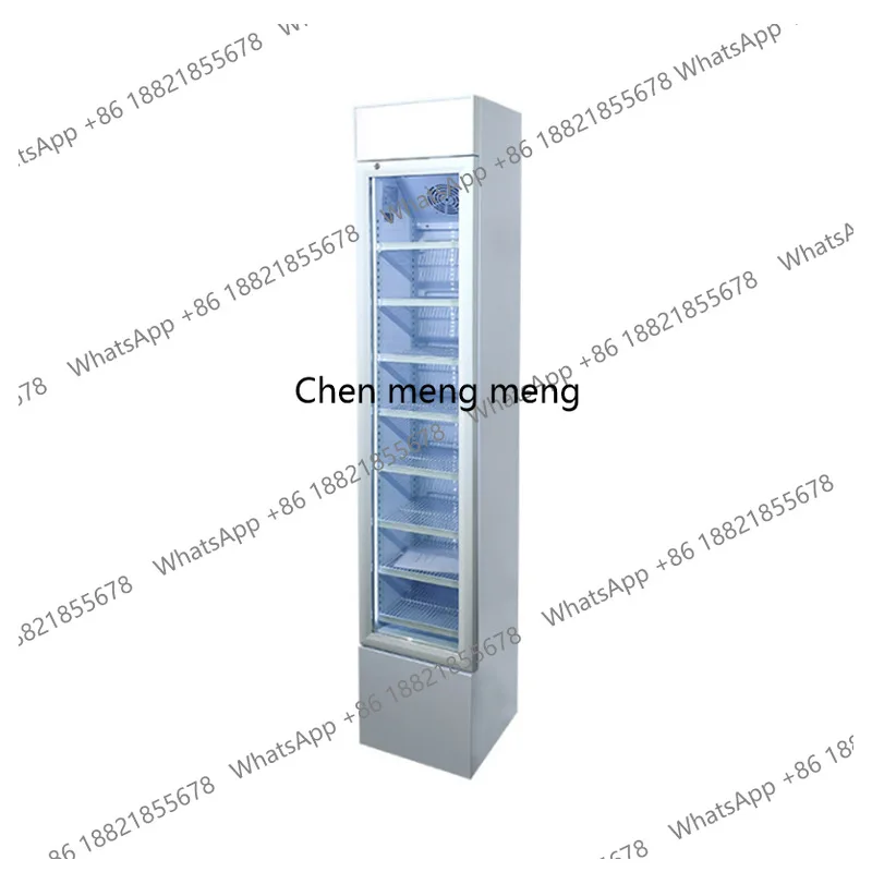 

Commercial Frozen Display Cabinet Ice Cream Vertical Small Glass Refrigerated Refrigerator Vertical