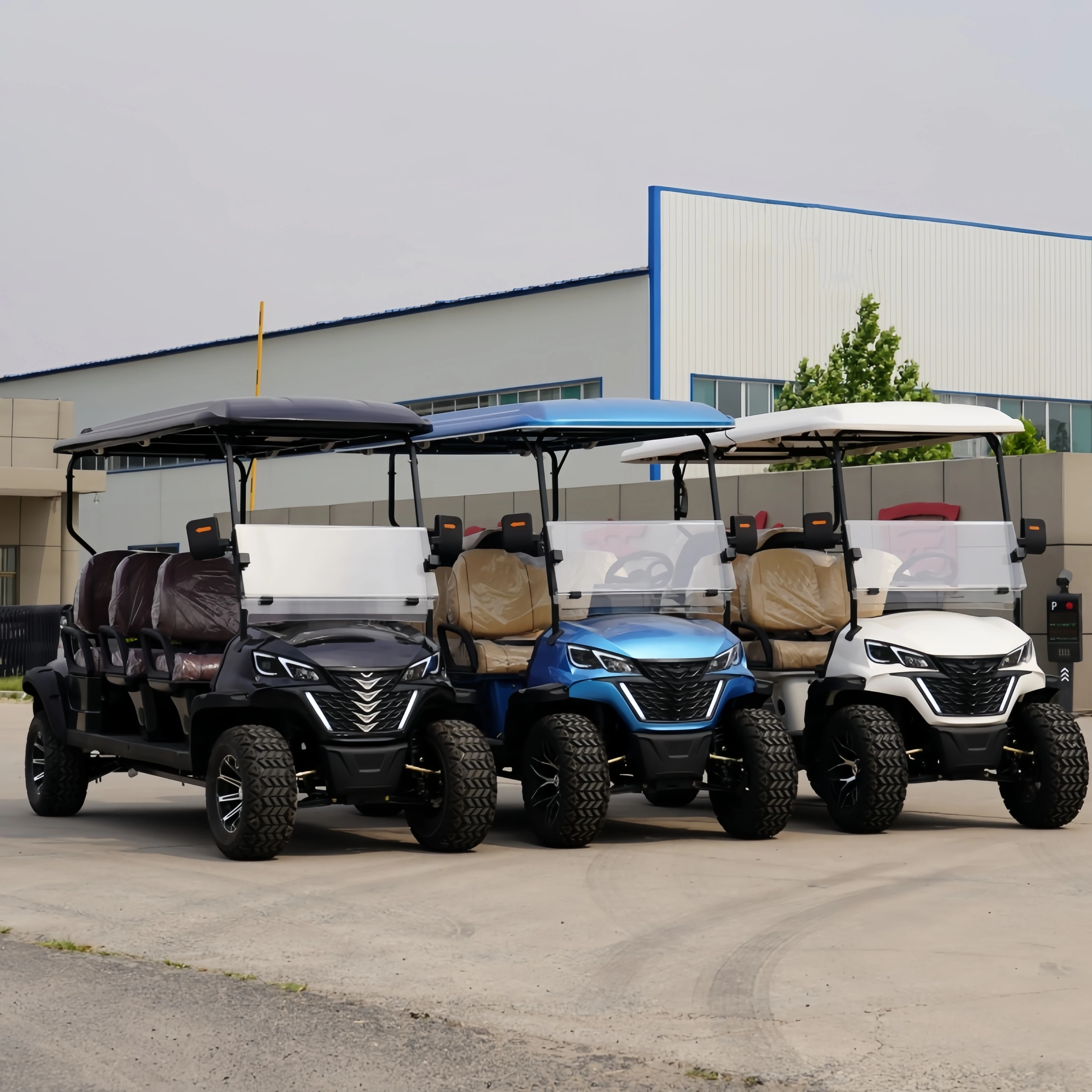 Deluxe Eco Golf Cart with Lithium-Powered Independent Suspension