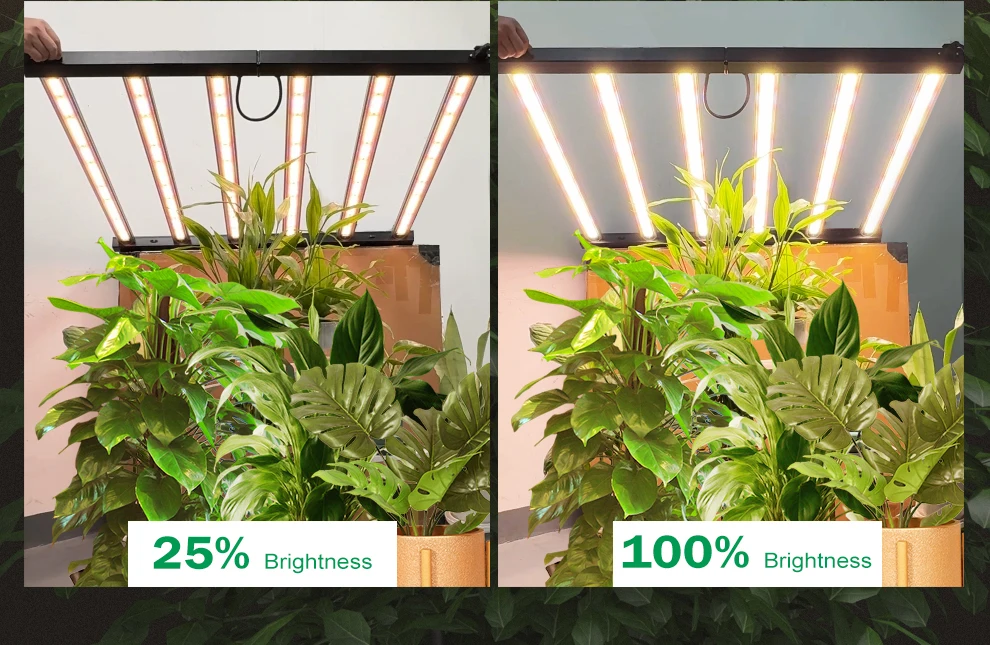 360W 720W LED Pflanzenlampe Vollspektrum Blau 460nm Rot 660nm IR 730nm UV 395nm, 2,7umol/J 1280umol/J/s Hohe PPFD Hanfpflanzenlampe für 4 × 4 5 × 5FT Zelt – Detail 5
