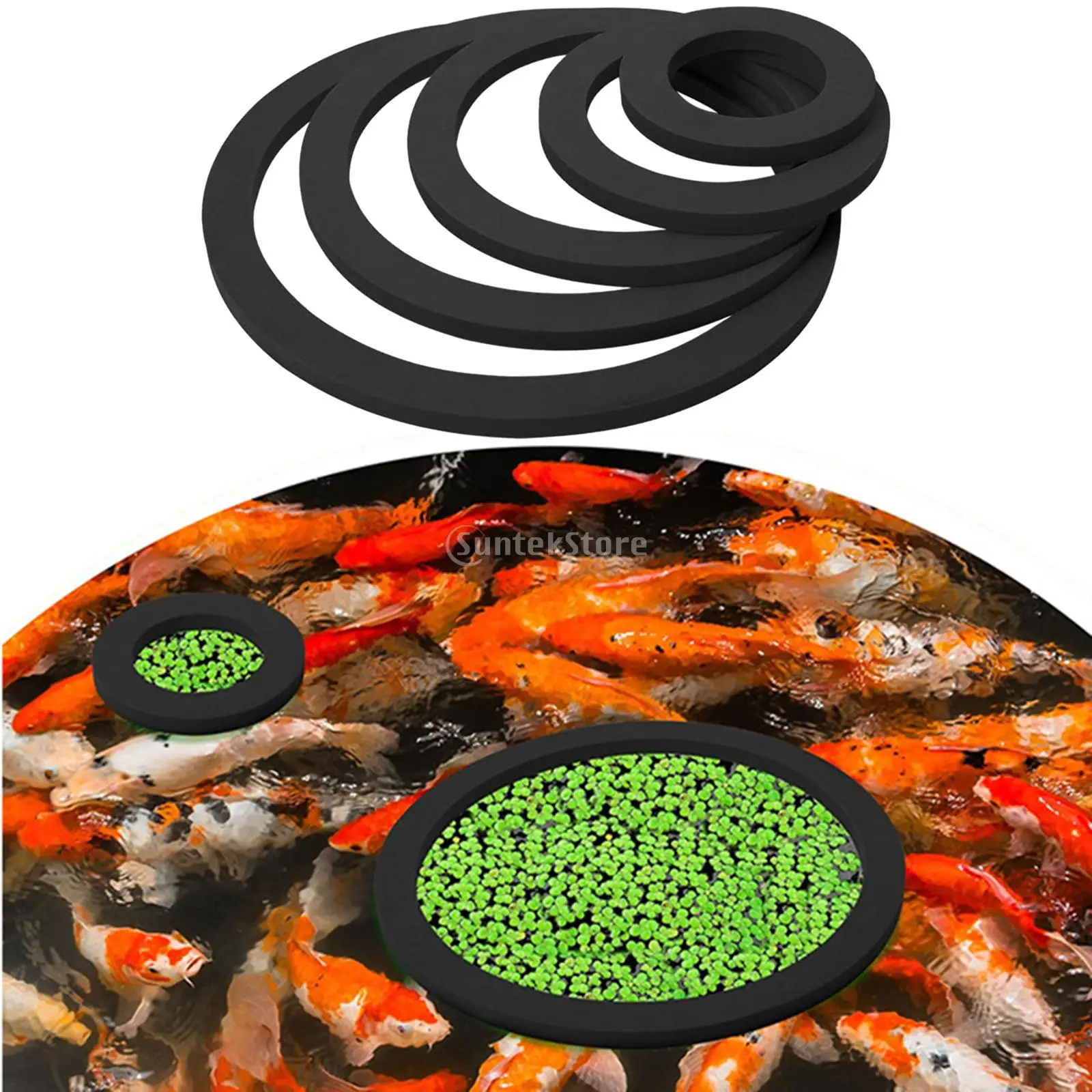 Fish Feeding Supplies Plastic Buoyancy Circle 5Pcs 2Colors for  Feeder  Square/Round Feeding Ring Aquarium Floating Food