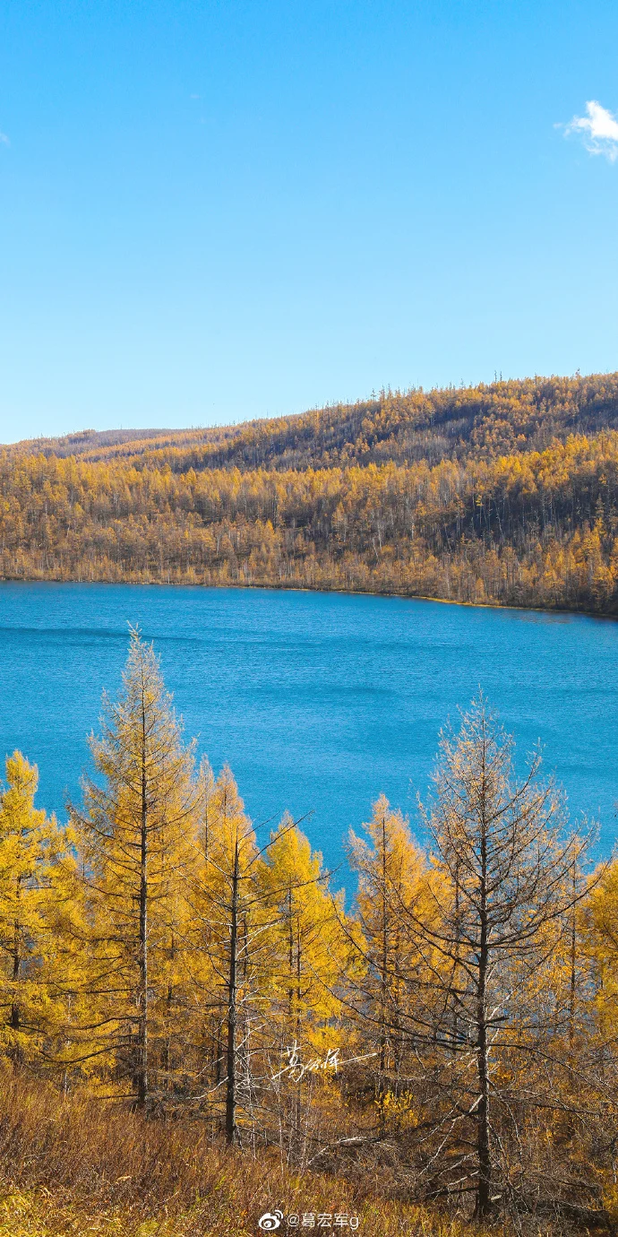 Gastos De EnvíO De … - image