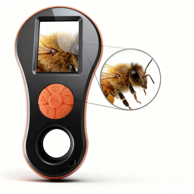 yZ[z2.0C`IPSnhwhfW^g勾HD 1080P|[^uCpg勾dq@WG[`FbNp