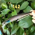 142--9142