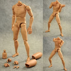 1/6 B001 Narrow Shoulder Caucasian Male Body Model Upgrated Version For 12