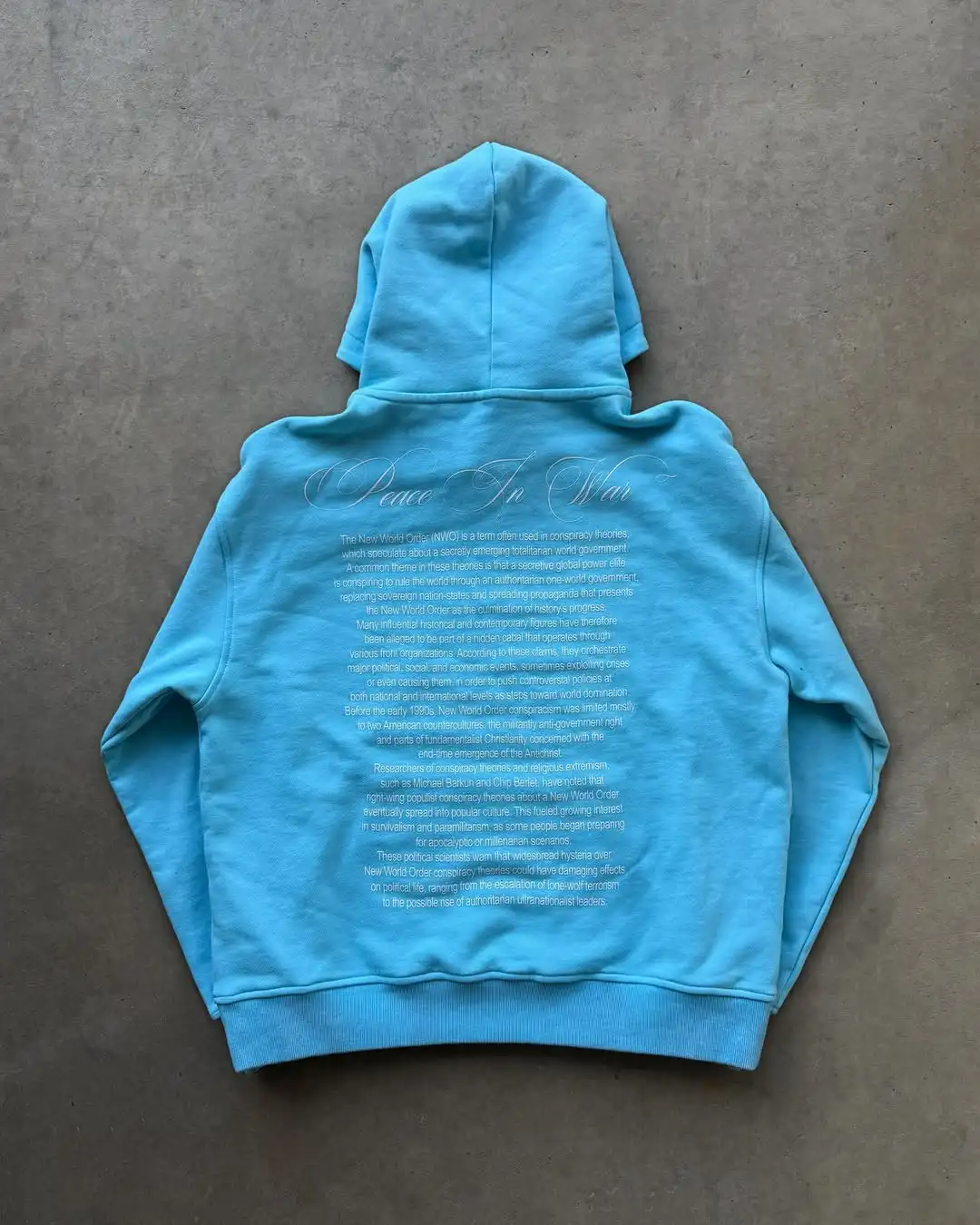 

Hip Hop Y2k Sky Blue Hoodies Women Grunge Streetwear Sweatshirt Tops Korean Oversized Hoodie Y2k Clothes 2000s Women Clothing