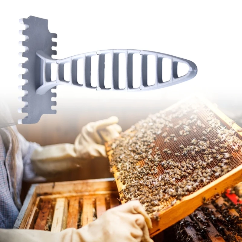 Outil d'apiculture essentiel pour les abeilles rapides sûres