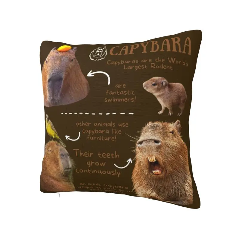 Nordic Capybara Fun Facts Throw Pillow Covers Decoracion 3D Printing Sofa Cushion Cover Polyester Cozy Pillowcase Dakimakura
