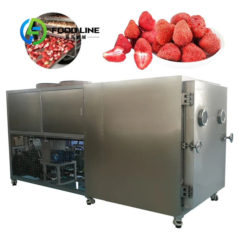 FOODLINE Customized Large Capacity Vacuum Lyophilizer Freeze Drying Machinery Factory Price for Industrial Food Processing