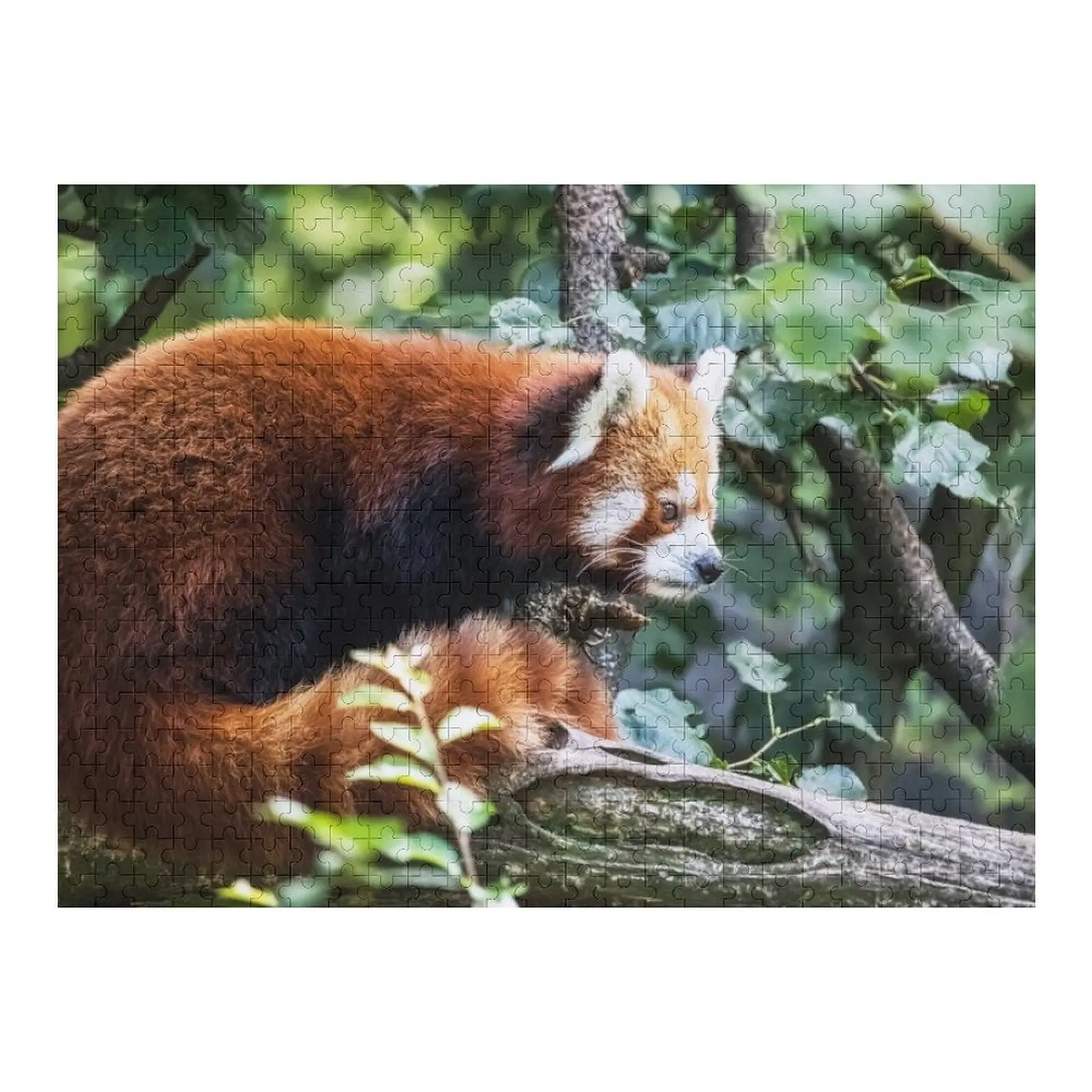 

Красная панда в дереве, лес, дикая природа, панда, лиса, головоломка, персонализированное имя, роман, игрушки для детей, 2022, головоломка