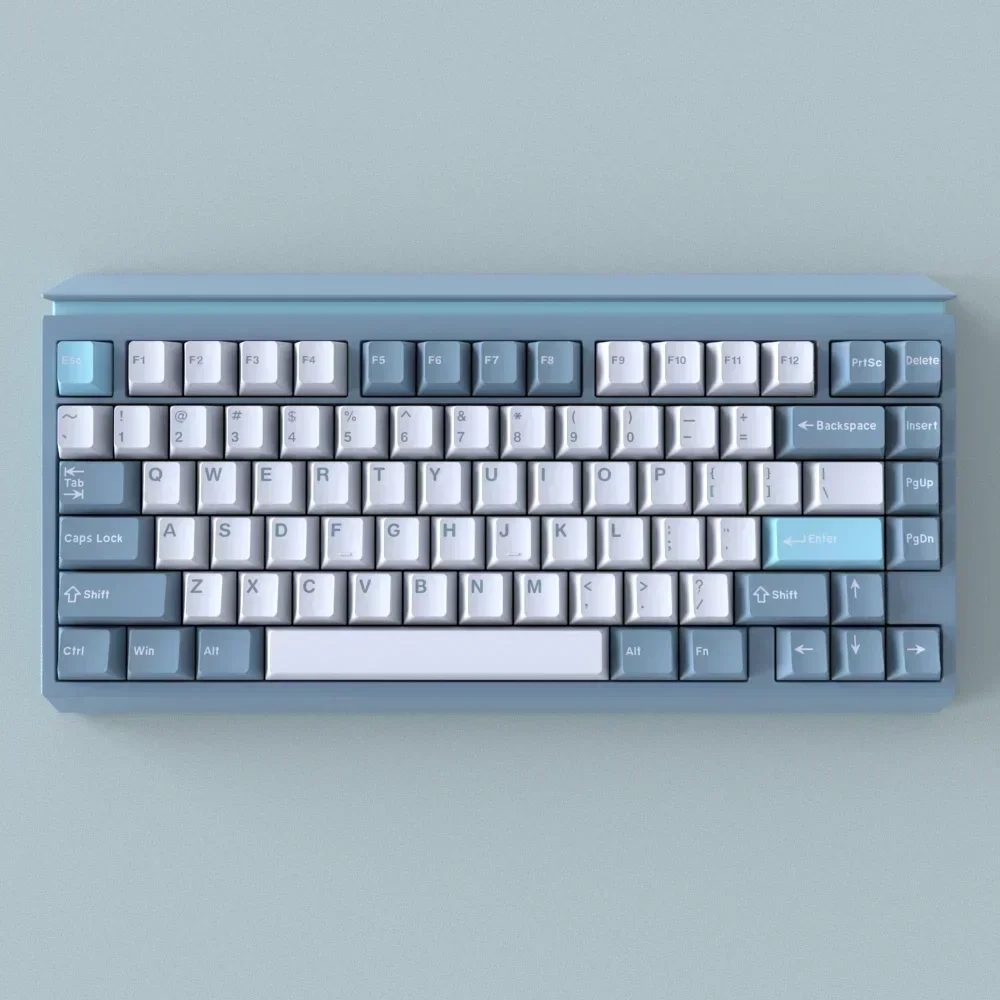 Groothandel keycap DIY voor Cherry MX-schakelaar mechanisch toetsenbord eendelige keycap keycaps valorant