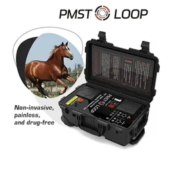 Horses PEMF Pulse Electromagnetic Therapy PMST Machine with Single and Butterfly Loop for Animals Treatment