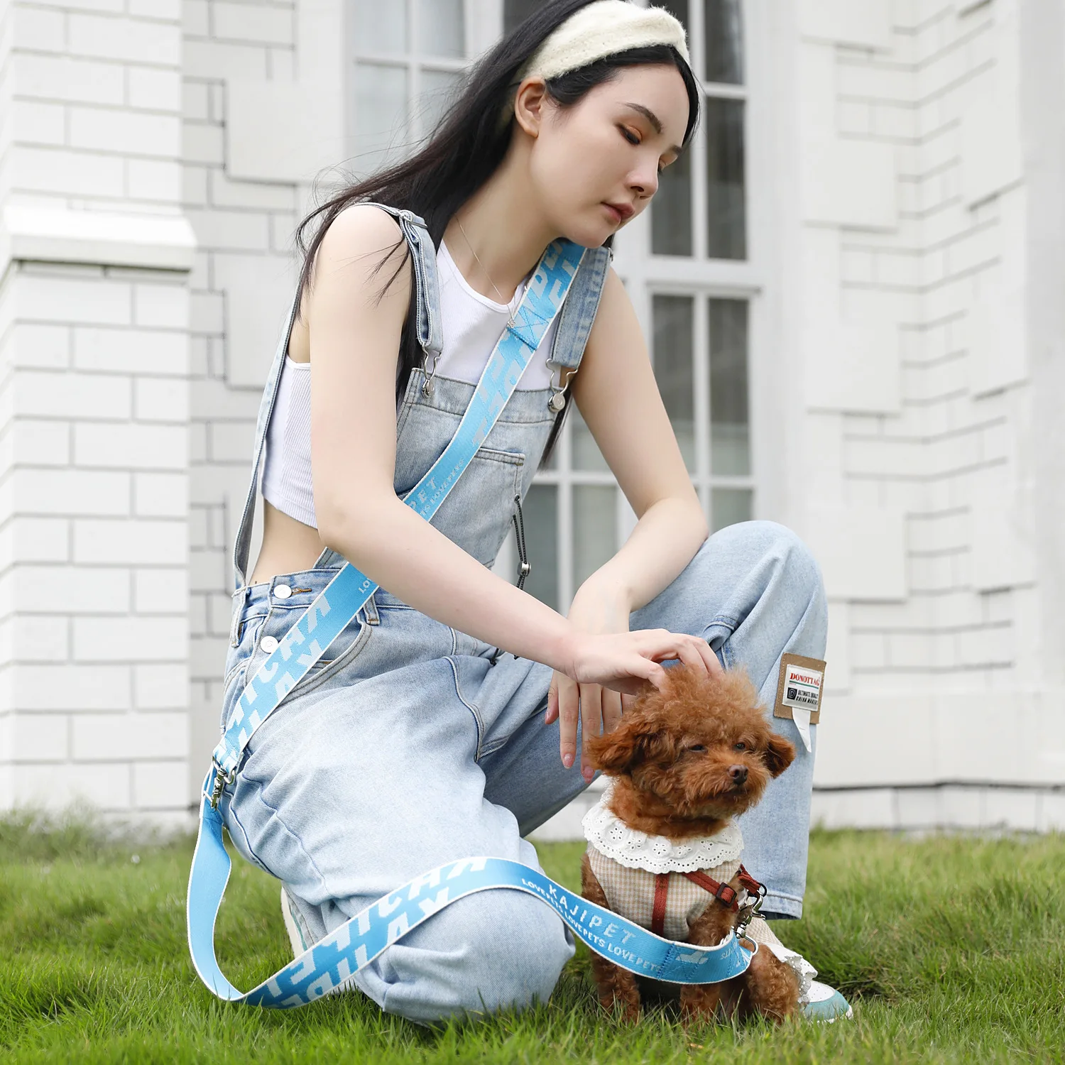 Multifunctional Running Pet Shoulder Strap Traction Strap Dog Traction Rope Free Hands Retractable Dog Rope