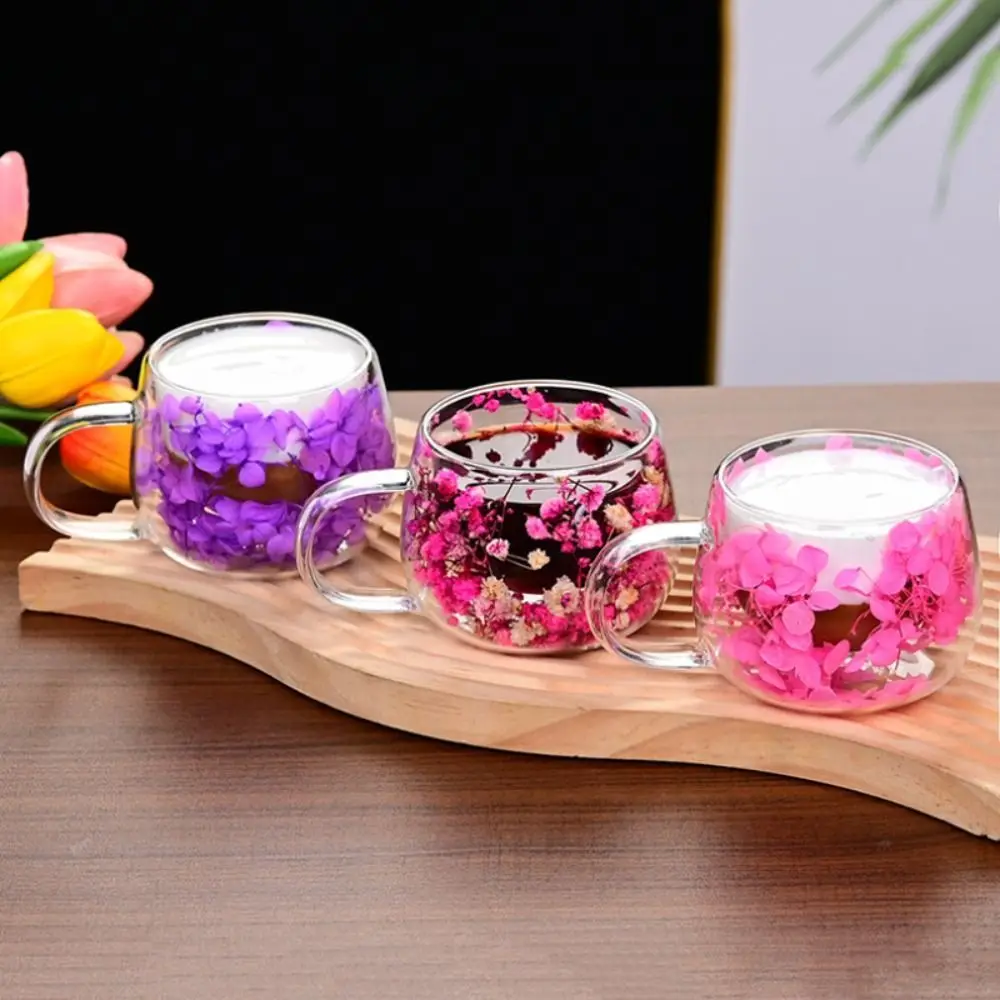 Coffee Tea Cup Dried Flower Glass Cup Milk Mug with Handle Double Wall Mug Double Insulated Heat Resistant Clear Glass Cup