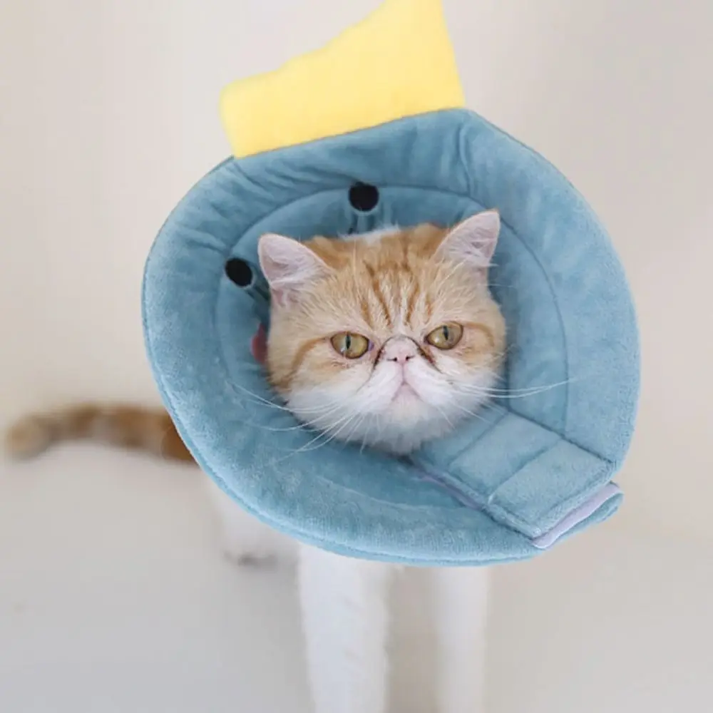 부드러운 벌 모양 고양이 회복 목걸이 면 안티 핥기 고양이 엘리자베스 칼라 조정 가능한 안티 물기 개 엘리자베스 서클