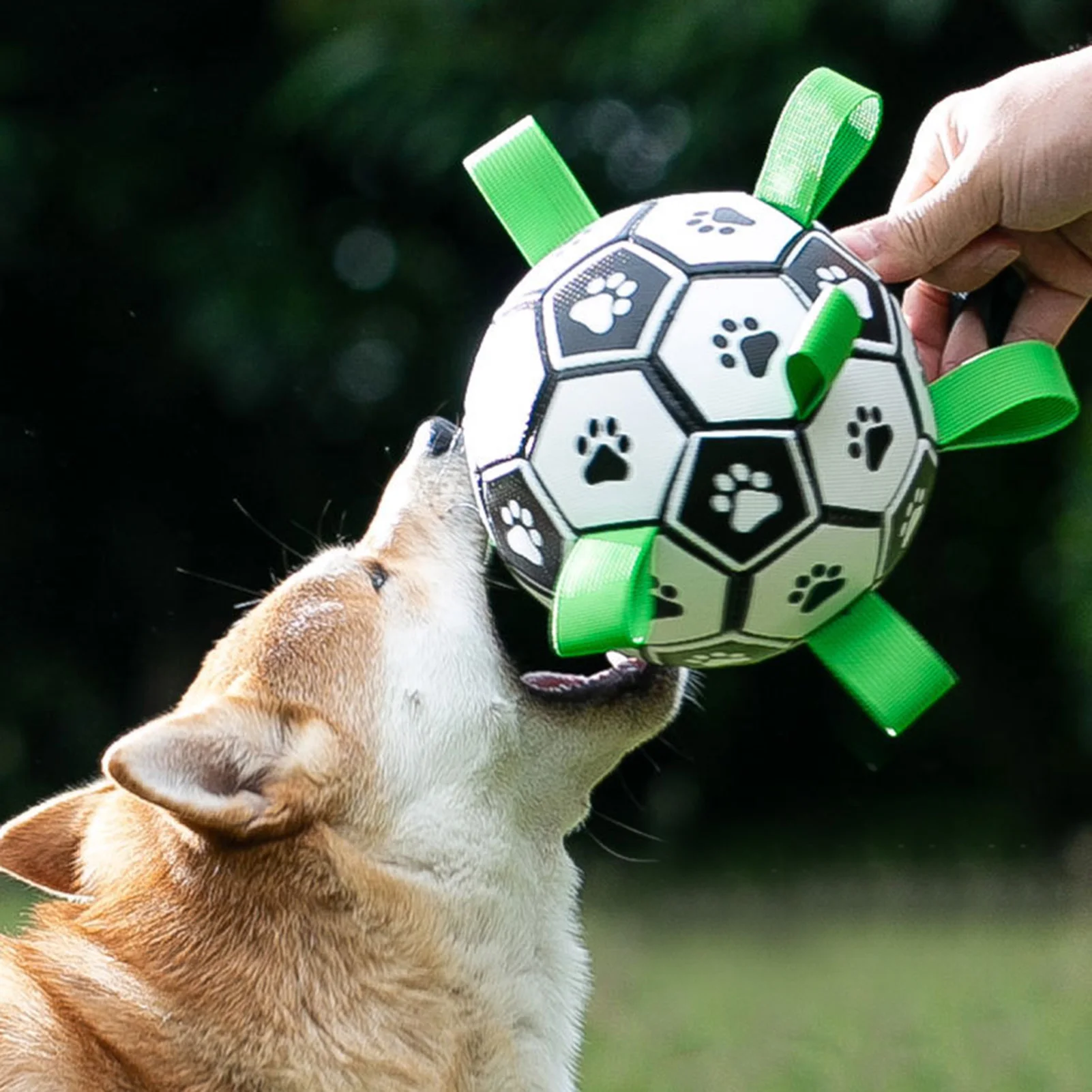 Pet Dog Rubber Ball Toy High Elastic Sturdy Pet Anti-bite Ball For Large Dog