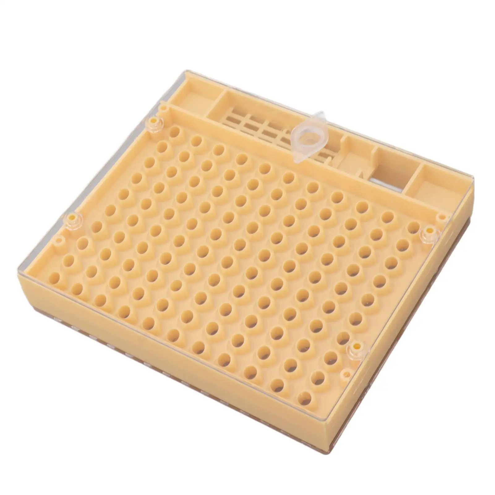 Durable Queen Bee Rearing Grafting Kit with 110 Cell Cups Plastic Safe Healthy Beekeeping Tool Cost Effective for Farmers