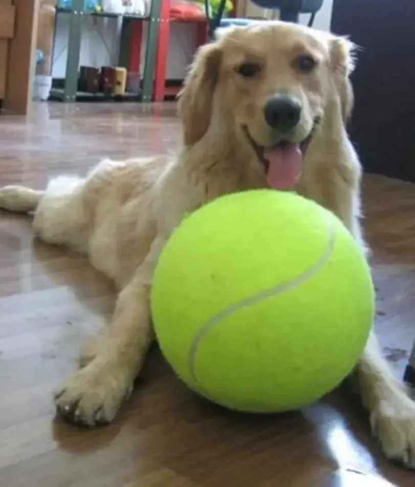

7/8/9.5Inch Dog Tennis Ball Giant Pet Toys for Dog Chewing Toy Signature Mega Jumbo Kids Ball Training Supplies Dropship Plush