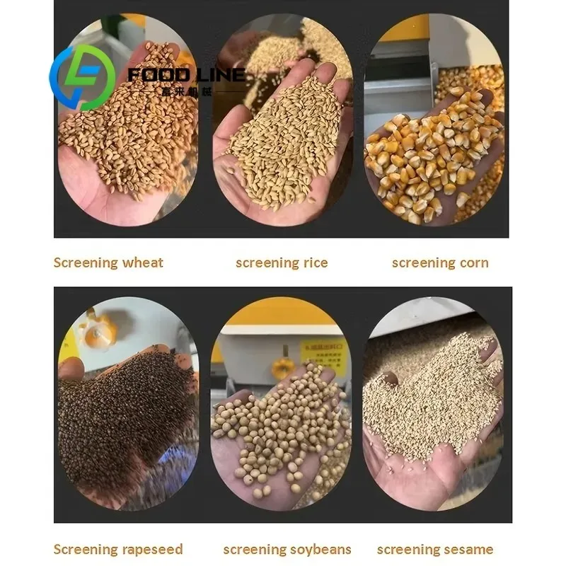 Afbeelding 5: Multifunctionele zaadreinigingsmachine voor diverse gewassen: sorghum, gierst, gerst en diverse graanzaden.