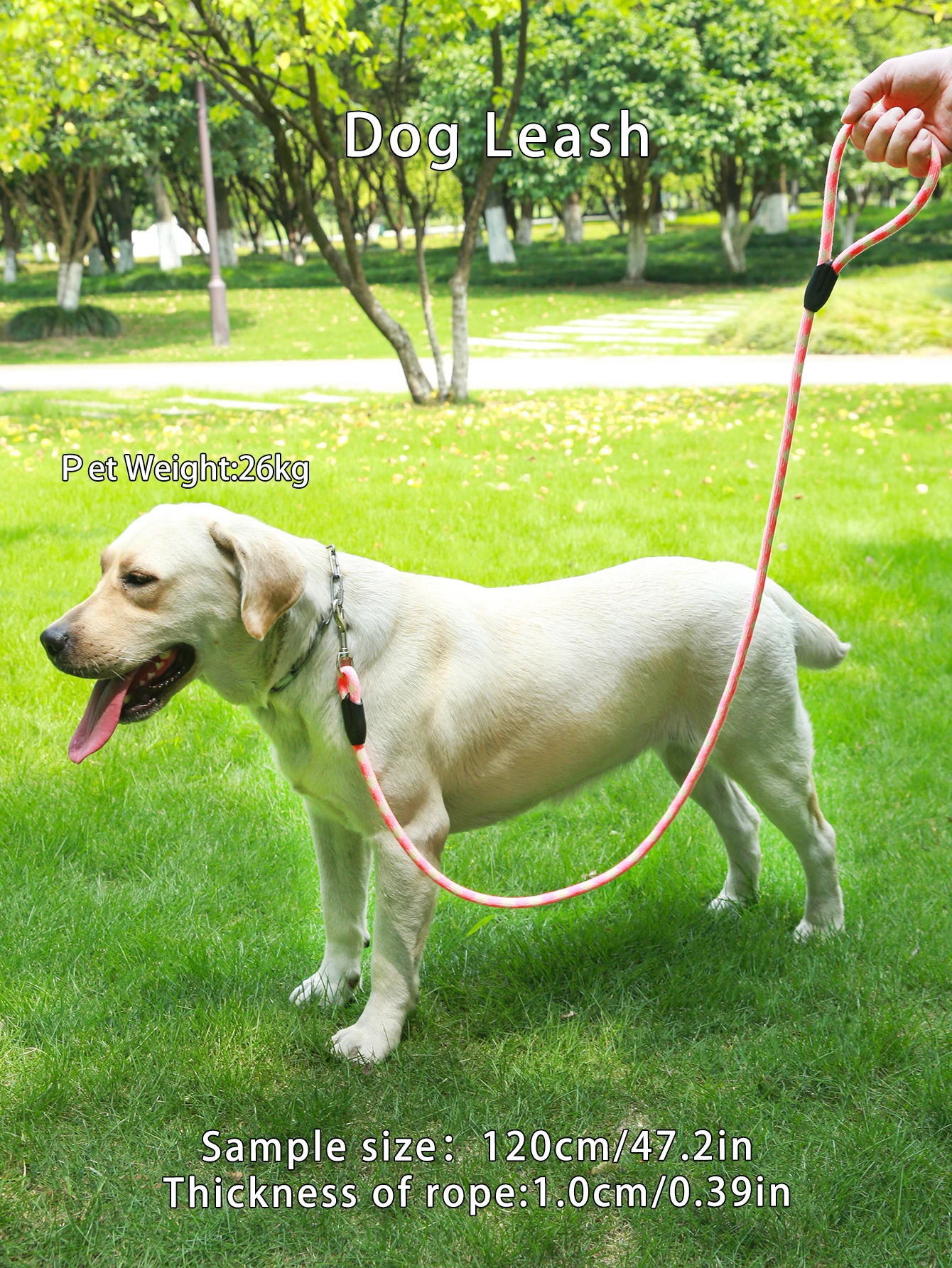 1pc Pink Round Rope Pet Dog And Cat Leash Leash Harness